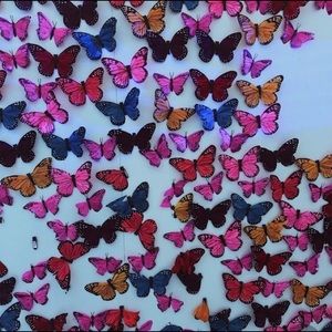 Meet your Posher, Annabel